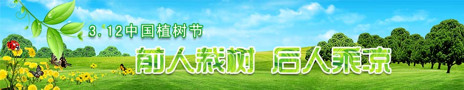 植樹節(jié)專題