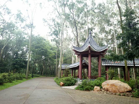 深圳免費旅游景點大全之筆架山公園圖片