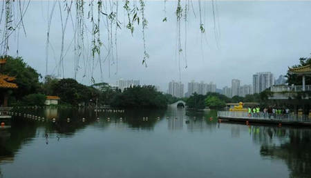 深圳免費旅游景點大全之荔枝公園圖片