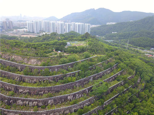 安托山公園尚未開(kāi)放山頂就已成共享單車(chē)墳場(chǎng)