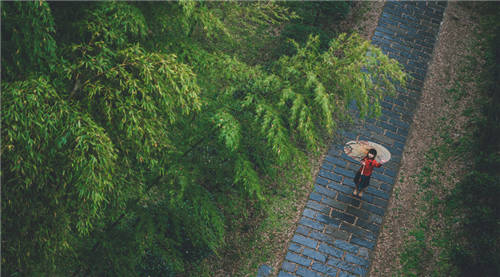 拍攝雨景有什么方法與技巧