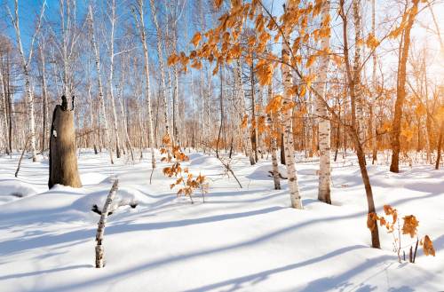 夢見大雪是什么征兆