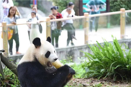 深圳野生動(dòng)物園