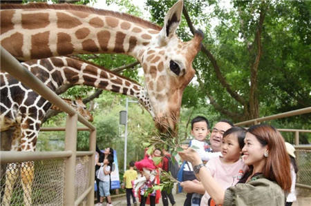 深圳野生動(dòng)物園