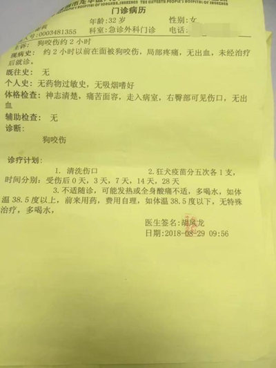 深圳32歲孕婦被烈犬咬傷 狗主讓其人流