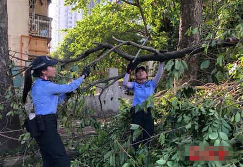 深圳人注意 受臺(tái)風(fēng)影響的交通違規(guī)不進(jìn)行處罰