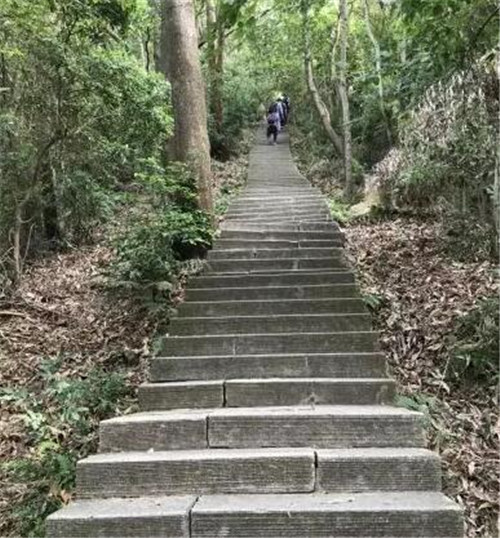 這3條線路被稱為深圳最美公交線，一路都是秀麗風(fēng)景