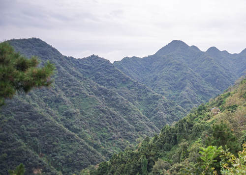 中國南北分界線 秦嶺淮河分界線