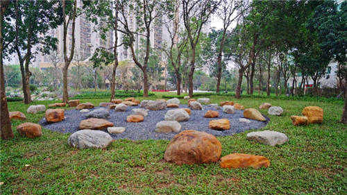 深圳首個(gè)寵物公園落地福田 還有交通科普公園