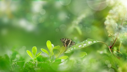 摩羯座今日運(yùn)勢2019年3月12日