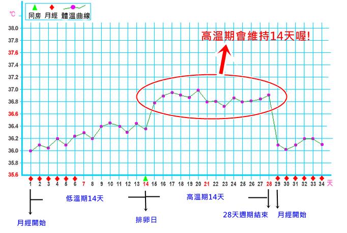 基礎(chǔ)體溫怎么測(cè) 基礎(chǔ)體溫曲線(xiàn)圖