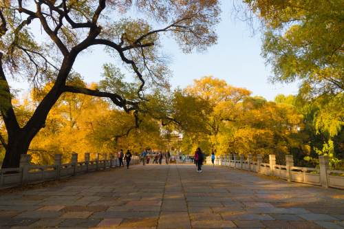 2019北陵公園門(mén)票多少錢(qián) 北陵公園門(mén)票優(yōu)惠政策