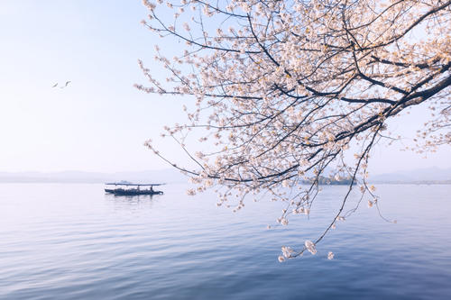 雙魚座今日運(yùn)勢2019年6月19日