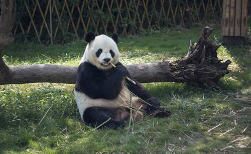 2019世界上最大的動物園排名