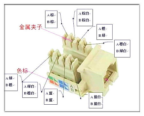 電腦網線插座接法圖文詳解