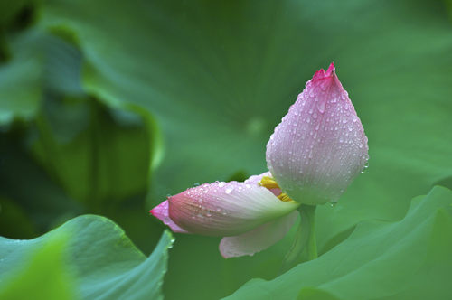 處女座今日運(yùn)勢(shì)2019年7月10日