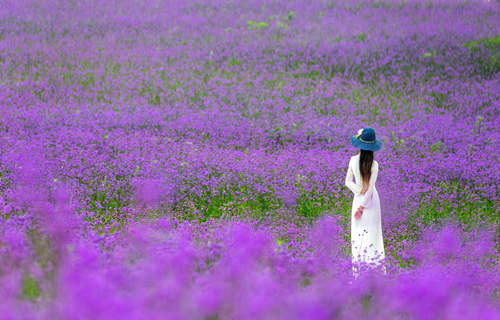 二胎想生女兒要怎樣同房