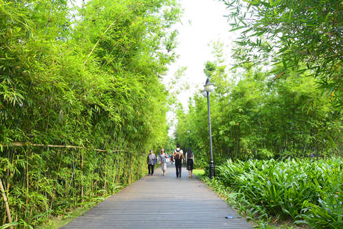  　　深圳有哪些公園 深圳好玩的公園盤點(diǎn)