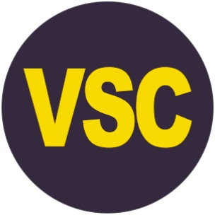 VSC指示燈