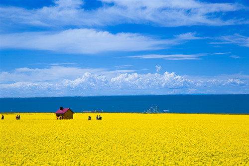 2019中秋青海旅游好去處 中秋青海適合旅游的地方