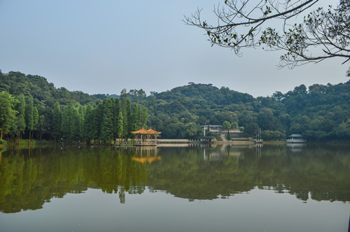 千燈湖公園要門票嗎 千燈湖公園有什么好玩