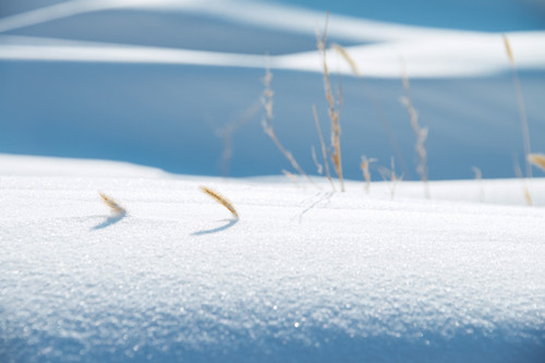 雪景哪里最美 國內(nèi)看雪景哪里最美