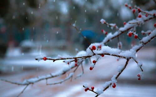 2019大雪節(jié)氣會下雪嗎?大雪會不會下雪