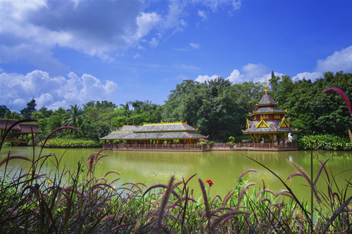 西雙版納曼聽公園門票 篝火晚會價格及時間