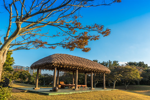 寒假韓國(guó)哪里好玩 這幾個(gè)地方必去