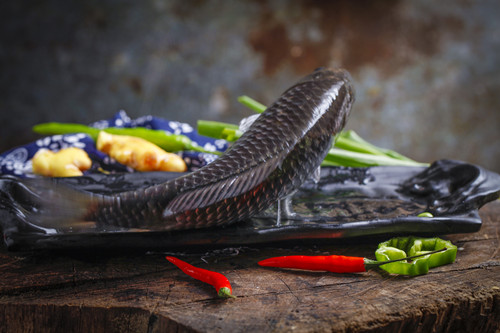 鯽魚(yú)的功效與作用 還能美容養(yǎng)顏