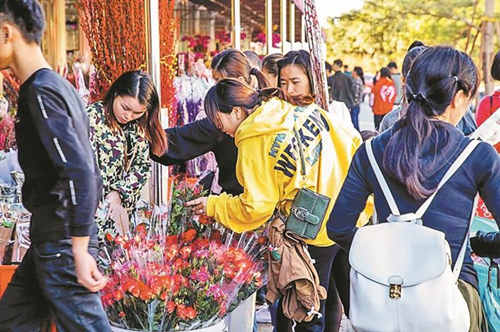 2020年深圳各區(qū)迎春花市陸續(xù)開(kāi)啟