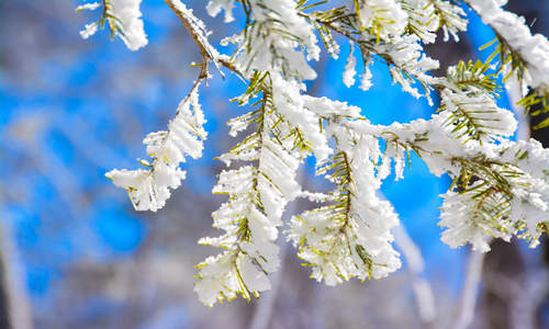 冠狀病毒會(huì)通過雪傳播嗎 冠狀病毒傳播途徑