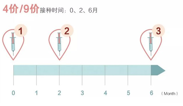 深圳九價(jià)HPV疫苗三針打多久