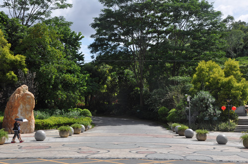 龍崗區(qū)龍城公園在哪里 龍城公園怎么去