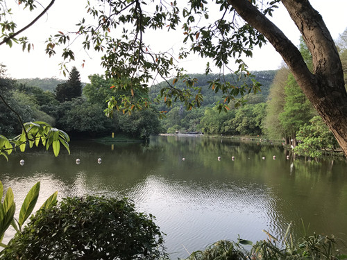 仙湖植物園有什么好玩的 仙湖植物園游玩攻略