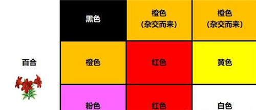 動物森友會花卉雜交攻略 花卉雜交品種顏色大全