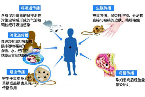 對嘴喝罐裝飲料感染出血熱怎么回事 出血熱癥狀