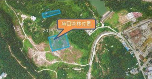 深圳擬建首個(gè)正規(guī)合法道觀 選址三聯(lián)郊野公園