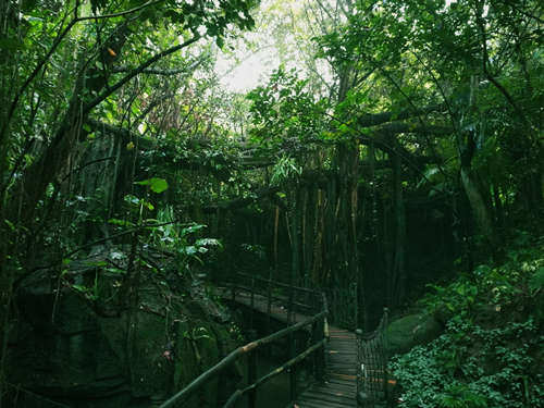 國慶深圳去哪里玩 深圳國慶去哪里旅游