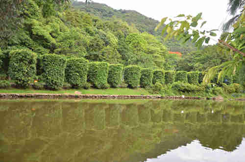 深圳仙湖植物園怎么去 深圳仙湖植物園在哪里