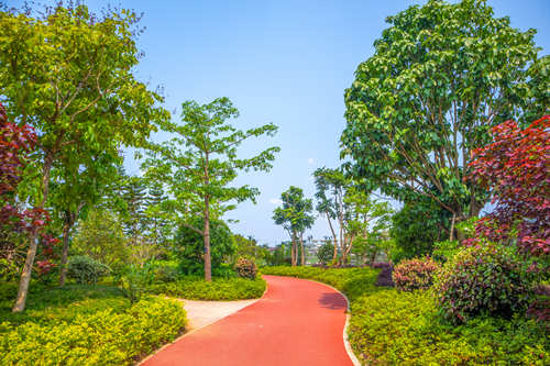 深圳寶安人才林公園即將開(kāi)放(附地址+交通+門(mén)票)