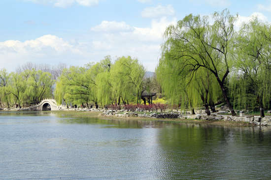 官方回復(fù)重建圓明園（含圓明園復(fù)原視頻）