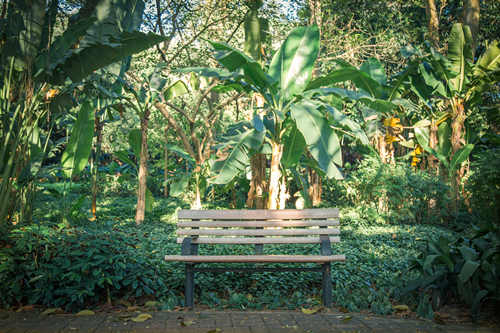 蓮花山公園幾點(diǎn)關(guān)門 蓮花山公園開放時間