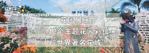 2020深圳蓮花山公園簕杜鵑花展游玩攻略