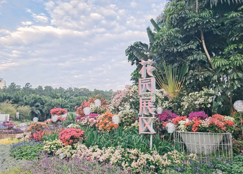 2020深圳蓮花山公園簕杜鵑花展游玩攻略