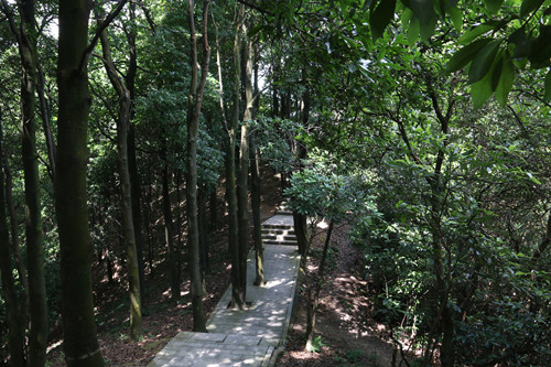 深圳羊臺(tái)山森林公園門(mén)票及其游玩攻略