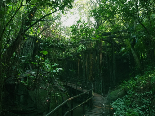 深圳過年哪里好玩 十大旅游景點(diǎn)推薦