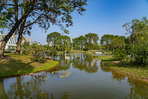 2021深圳香蜜公園游玩攻略(附公園亮點介紹)