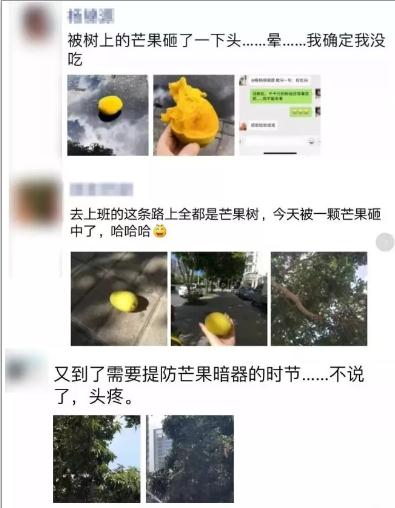 深圳人深圳車出門要注意 小心被“馬路殺手”盯上