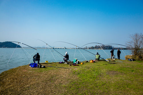 深圳免費釣魚的地方有哪些